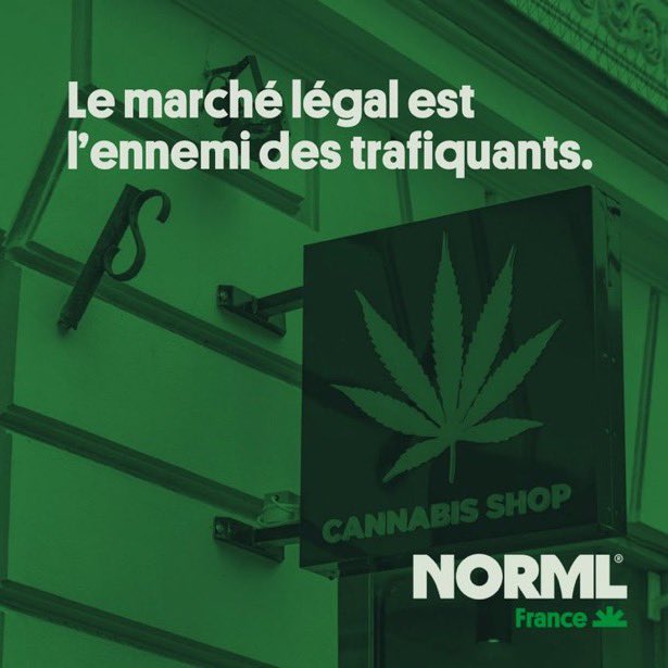 Michael Hadrons 🇨🇵 tweet media