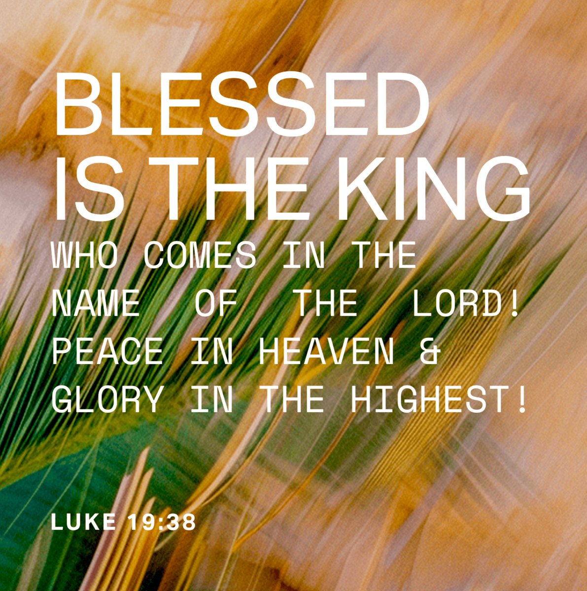 @Remington1016 tweet media