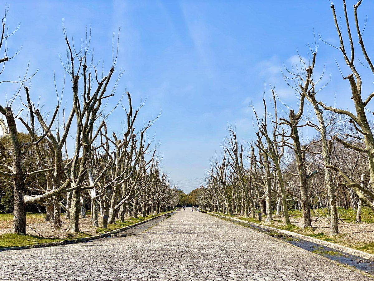 Enjoy EXPO tweet media