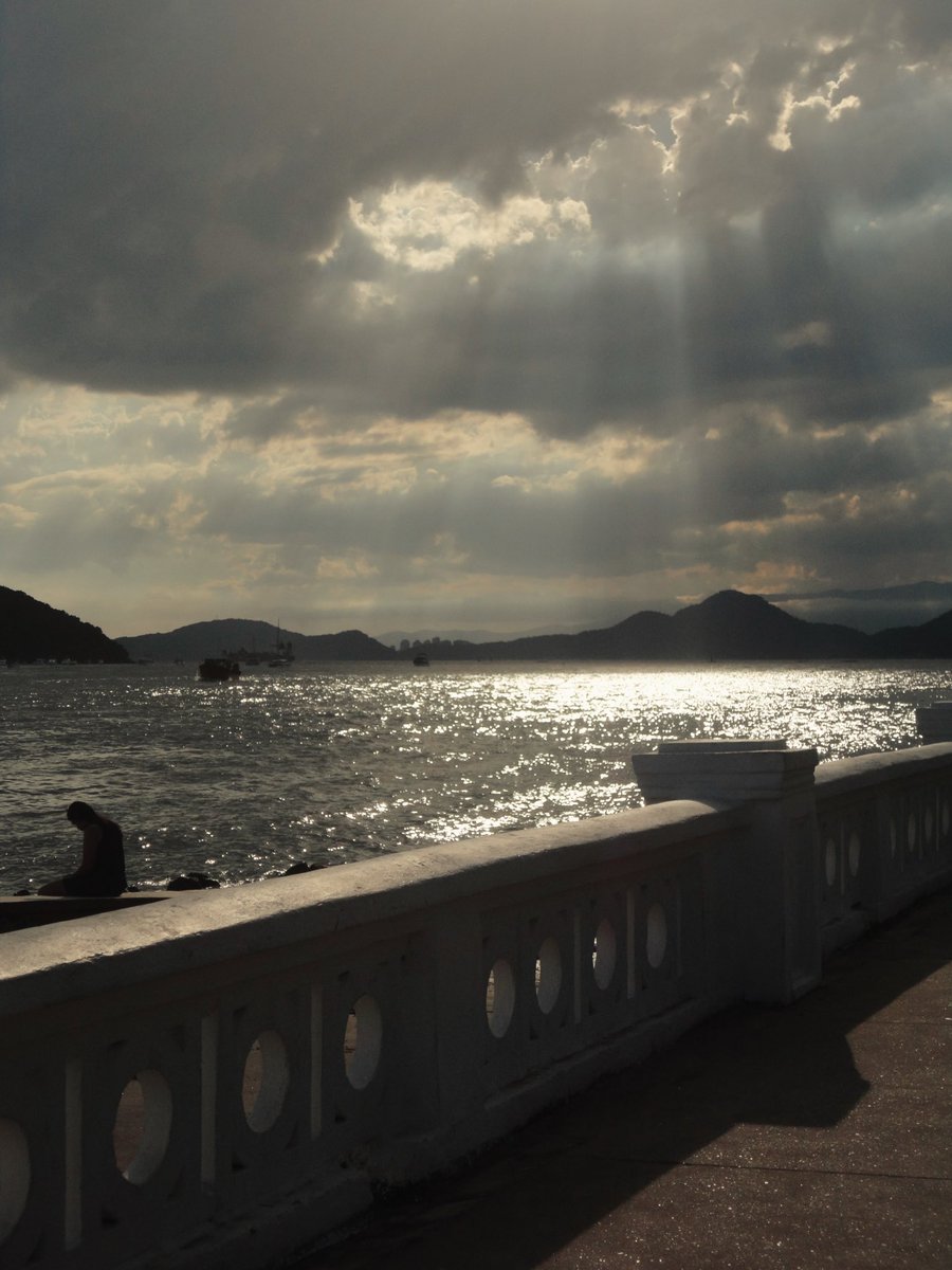 titi 🪭 tweet media