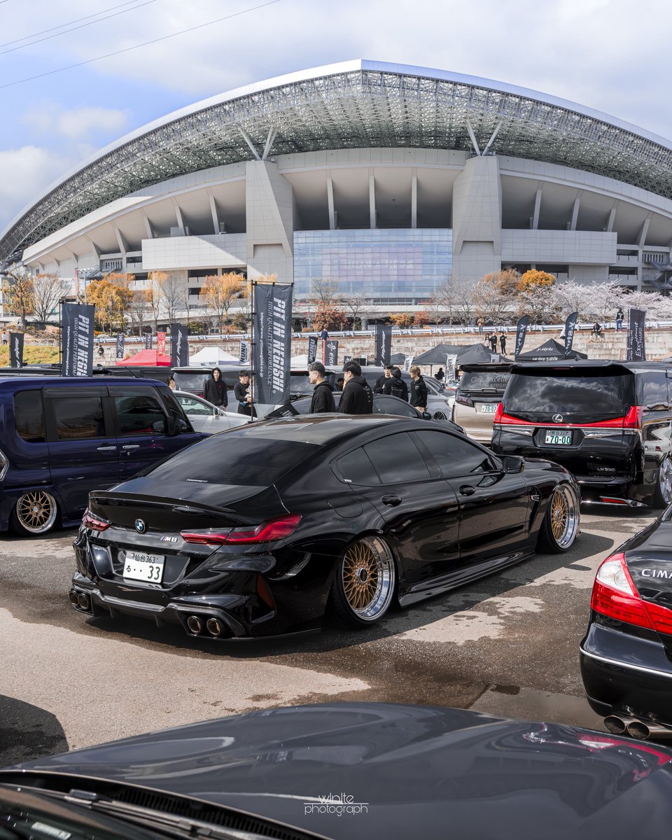 ほわいと tweet media