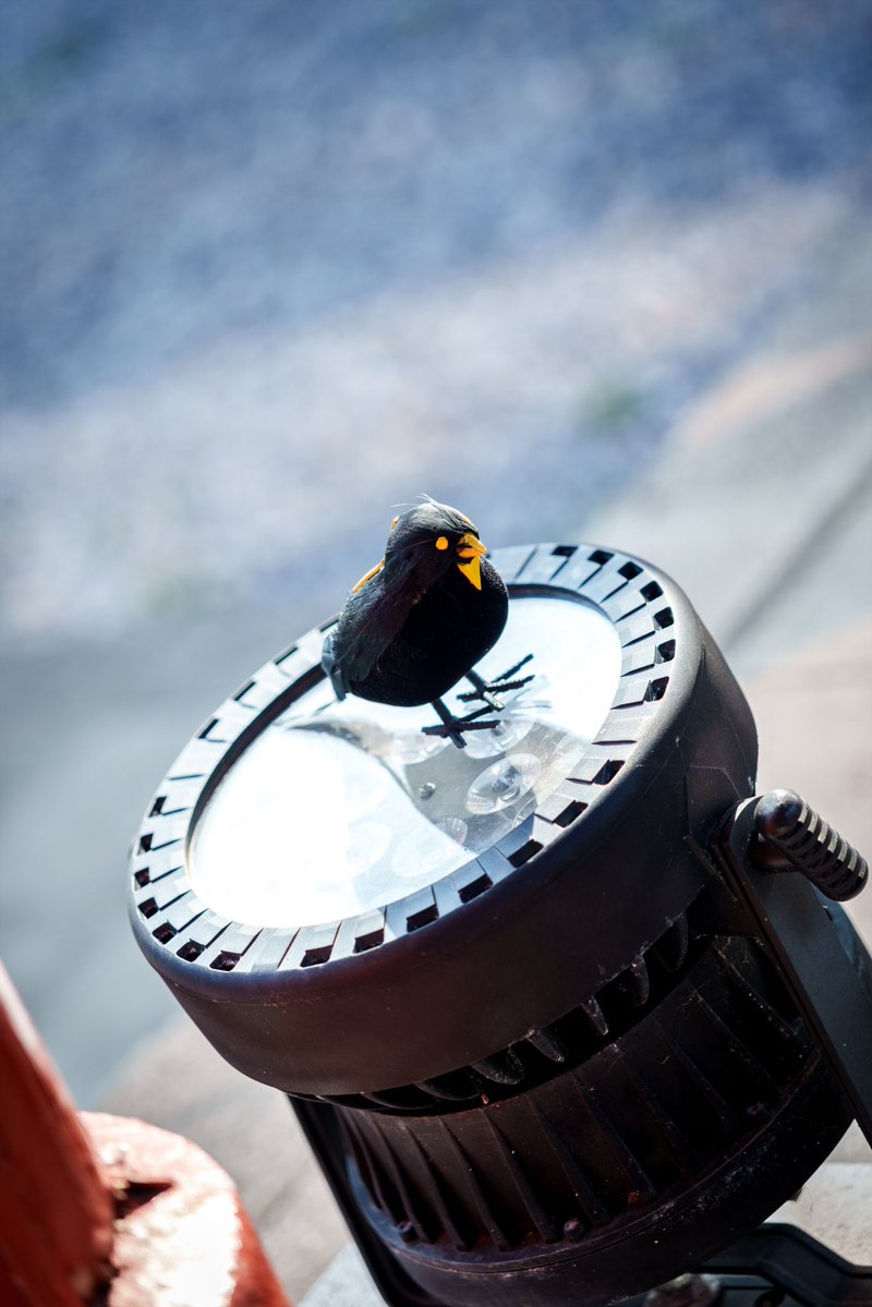 れあみ tweet media