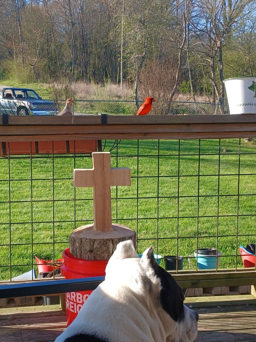 Eric Cook tweet media