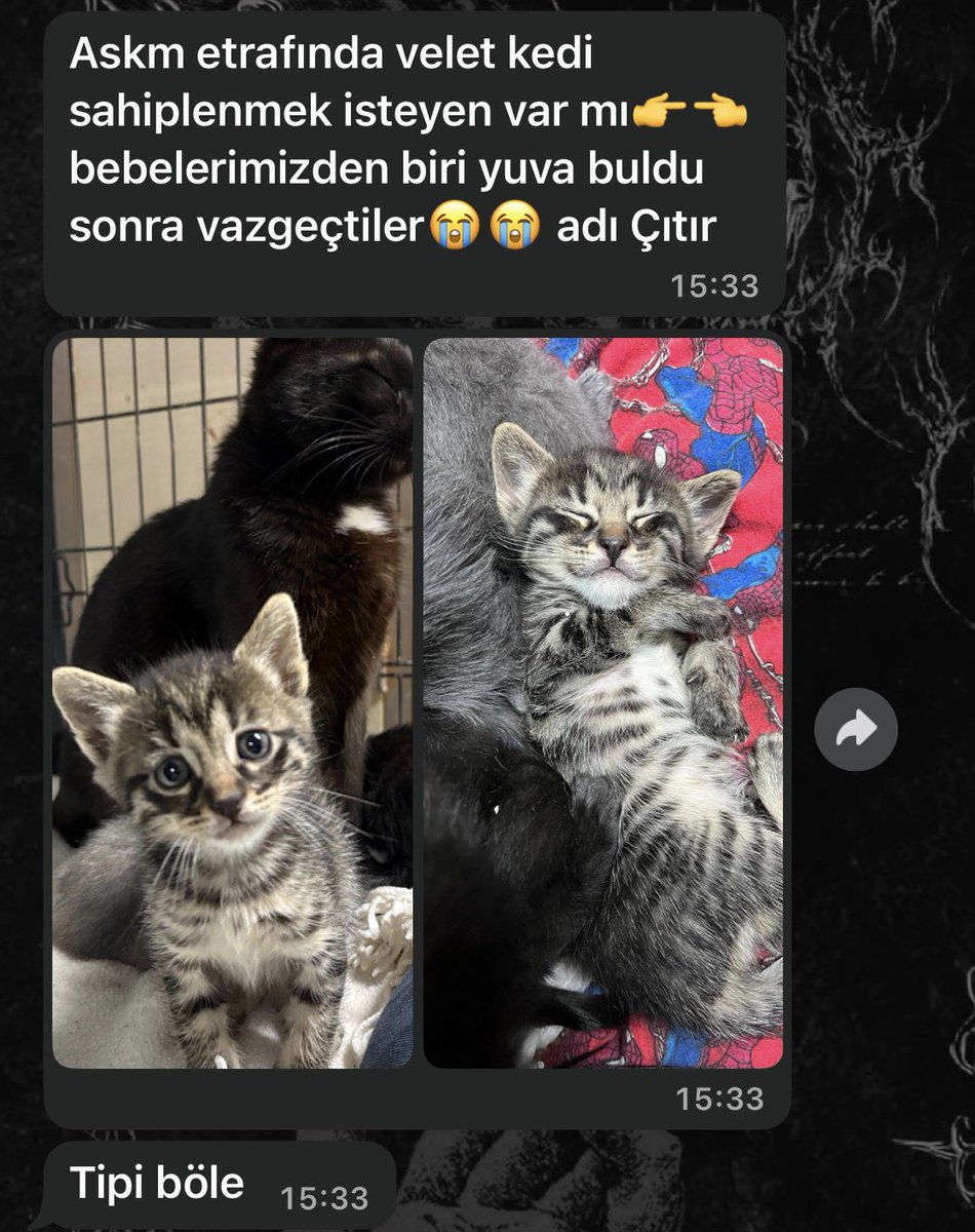 bu bebise yuva olmak isteyen cikar mi izmirde 🥺🥺