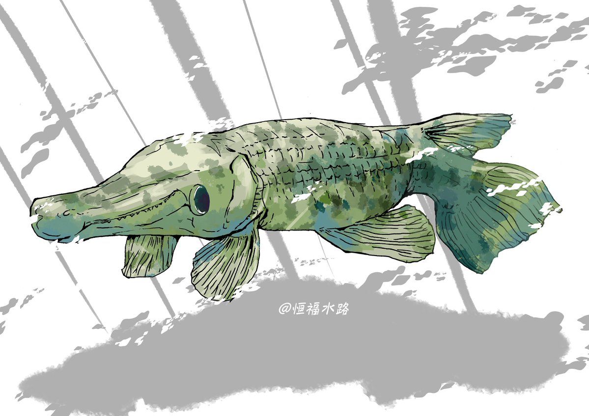 Mifuku@恒福水路 tweet media