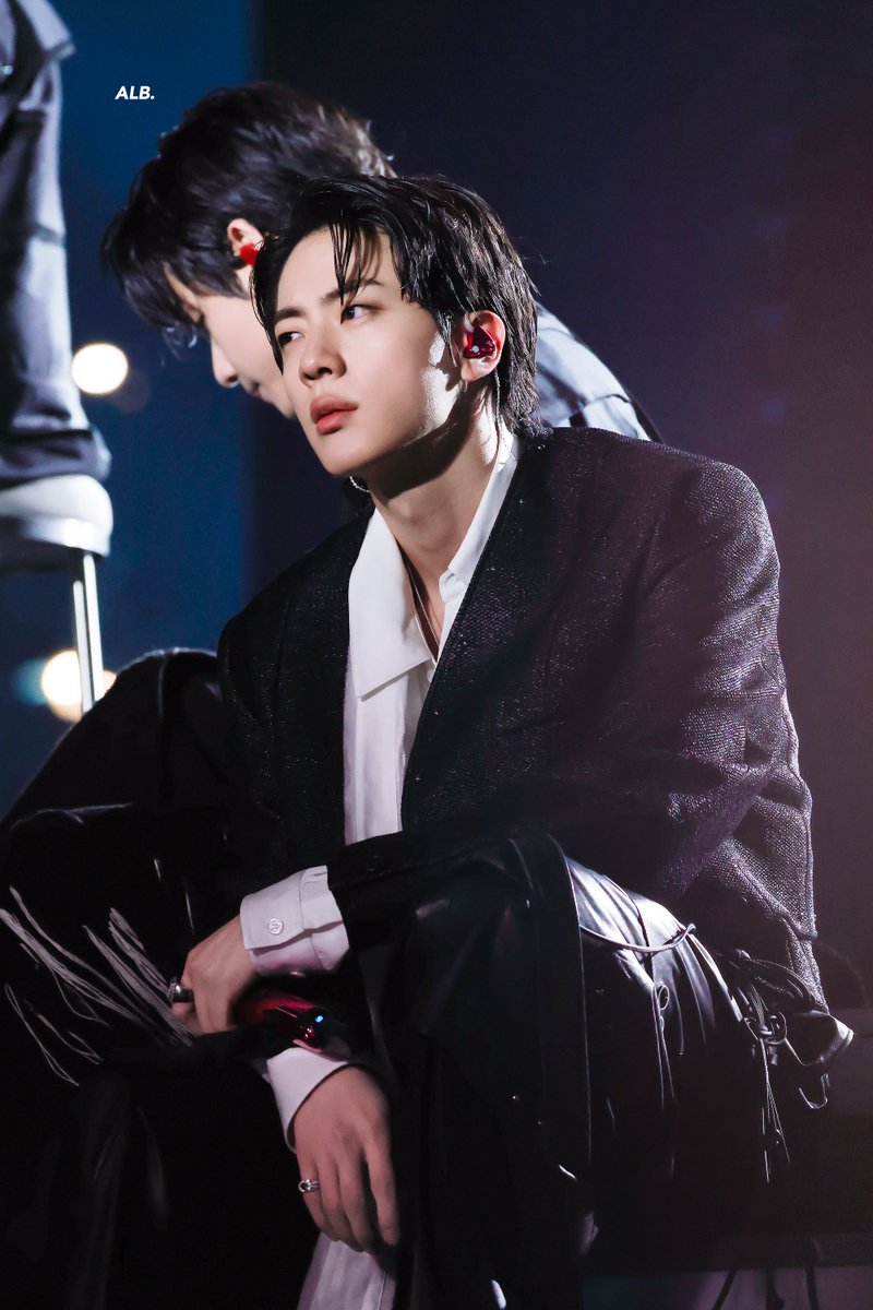 A LITTLE BRAVER 🐬 tweet media