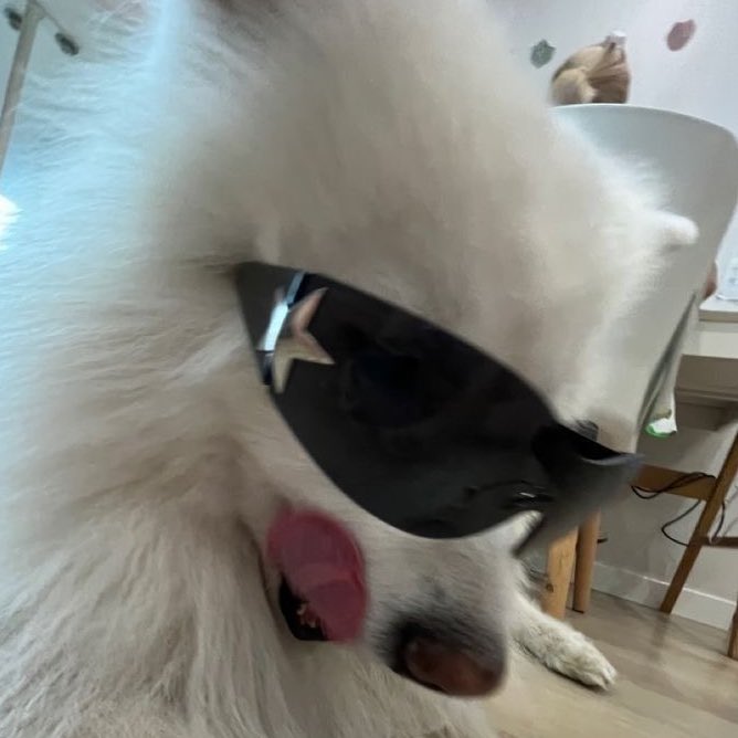 lolo ୨ৎ tweet media