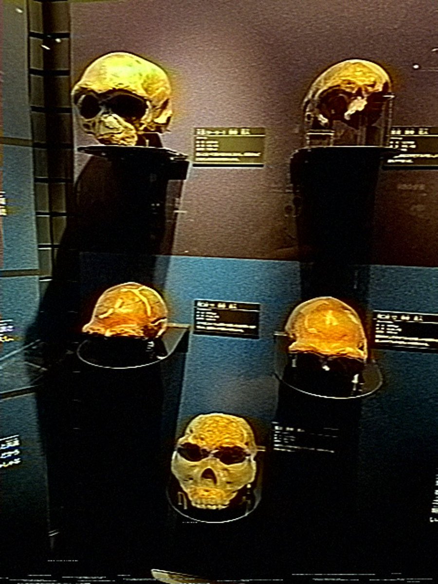 ちょちょ tweet media