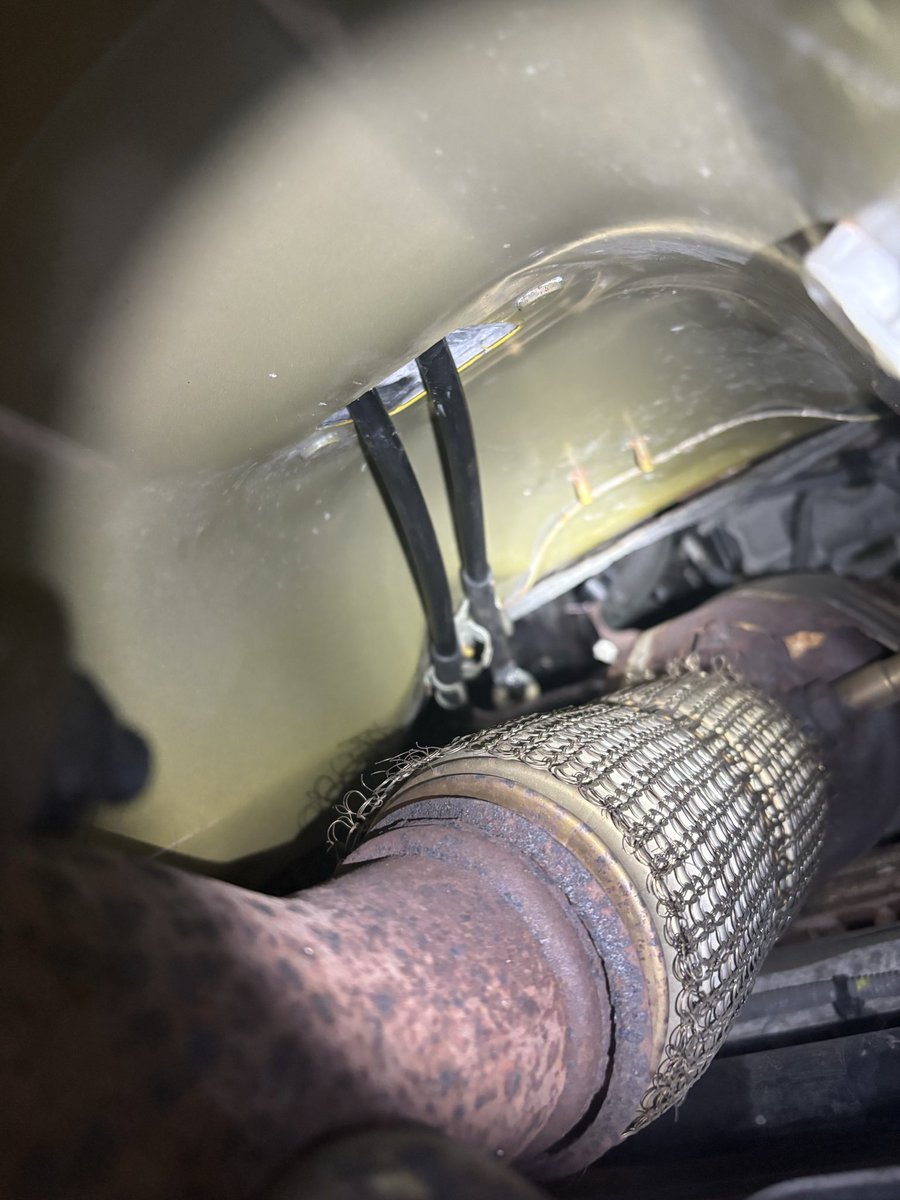 Drew/Wolf tweet media