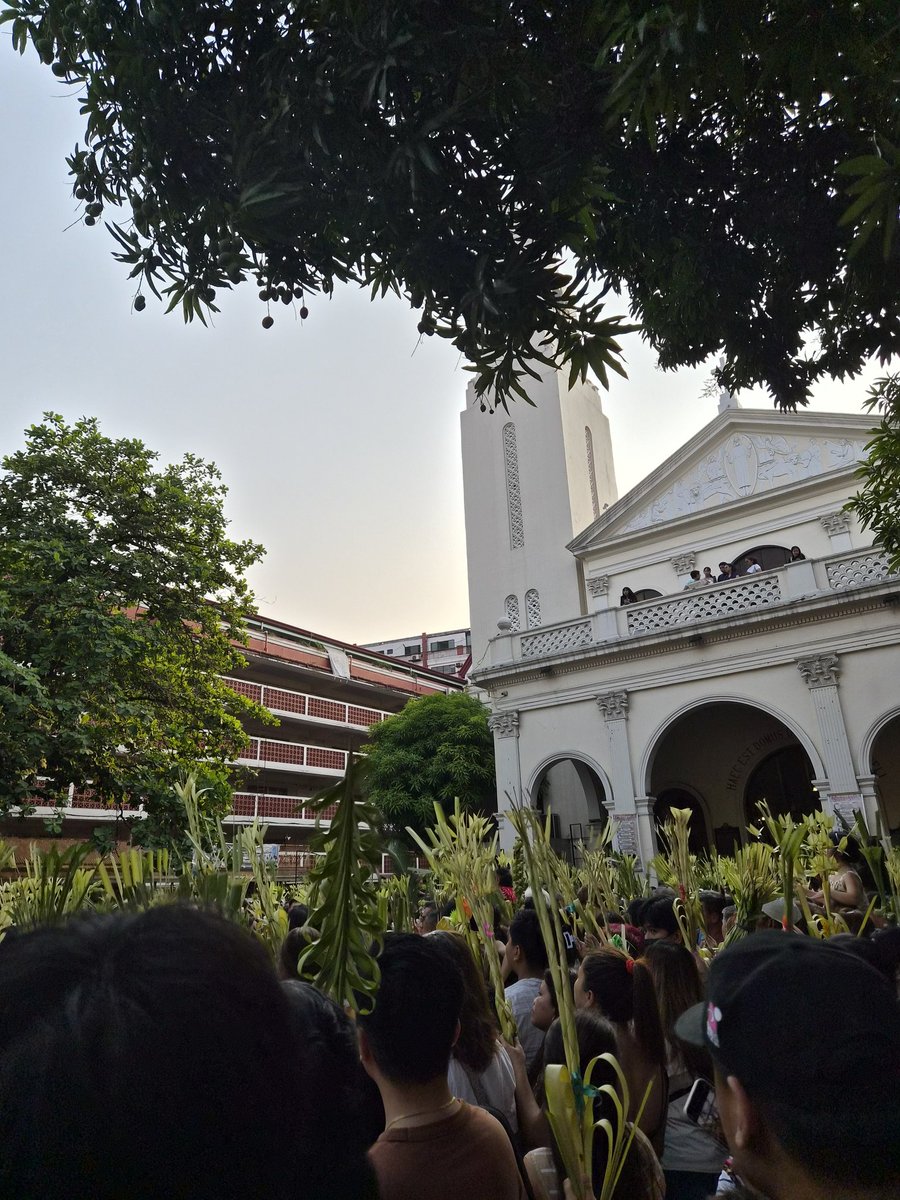 ninejawarrior's tweet photo. Palm Sunday https://t.co/oAenL3iTF5