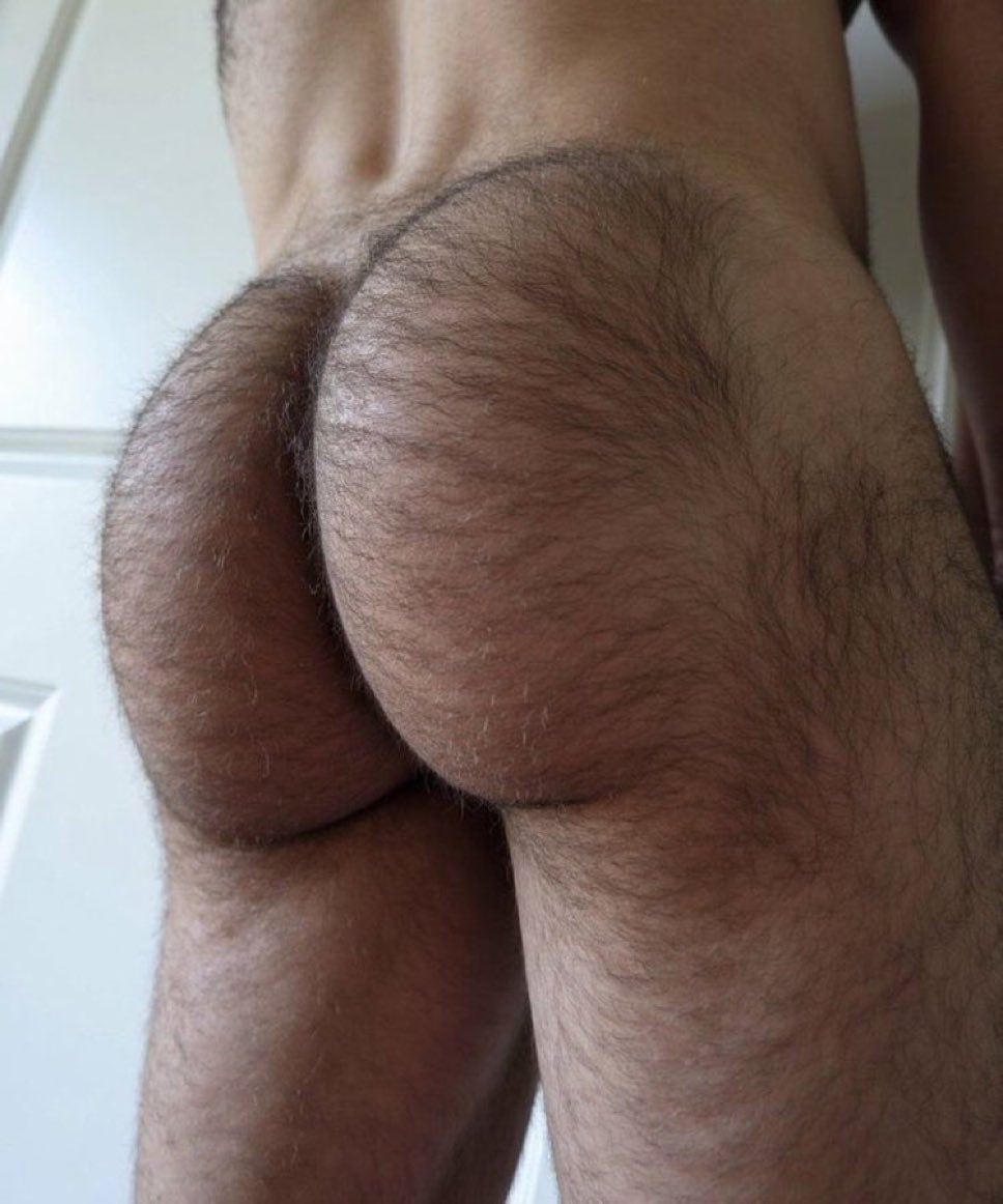 Wonder Daddies tweet media