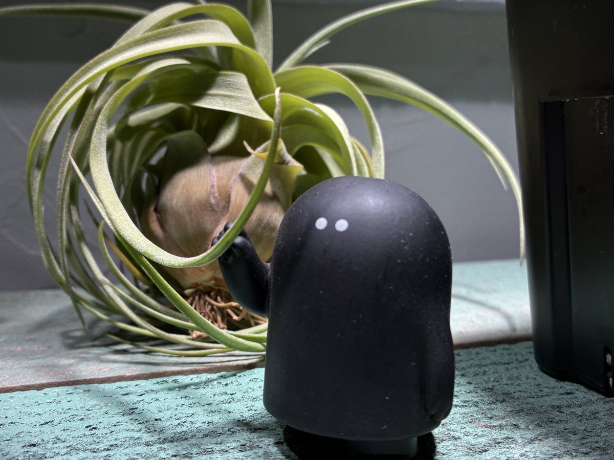 雪駄｛筆字　絵描き tweet media