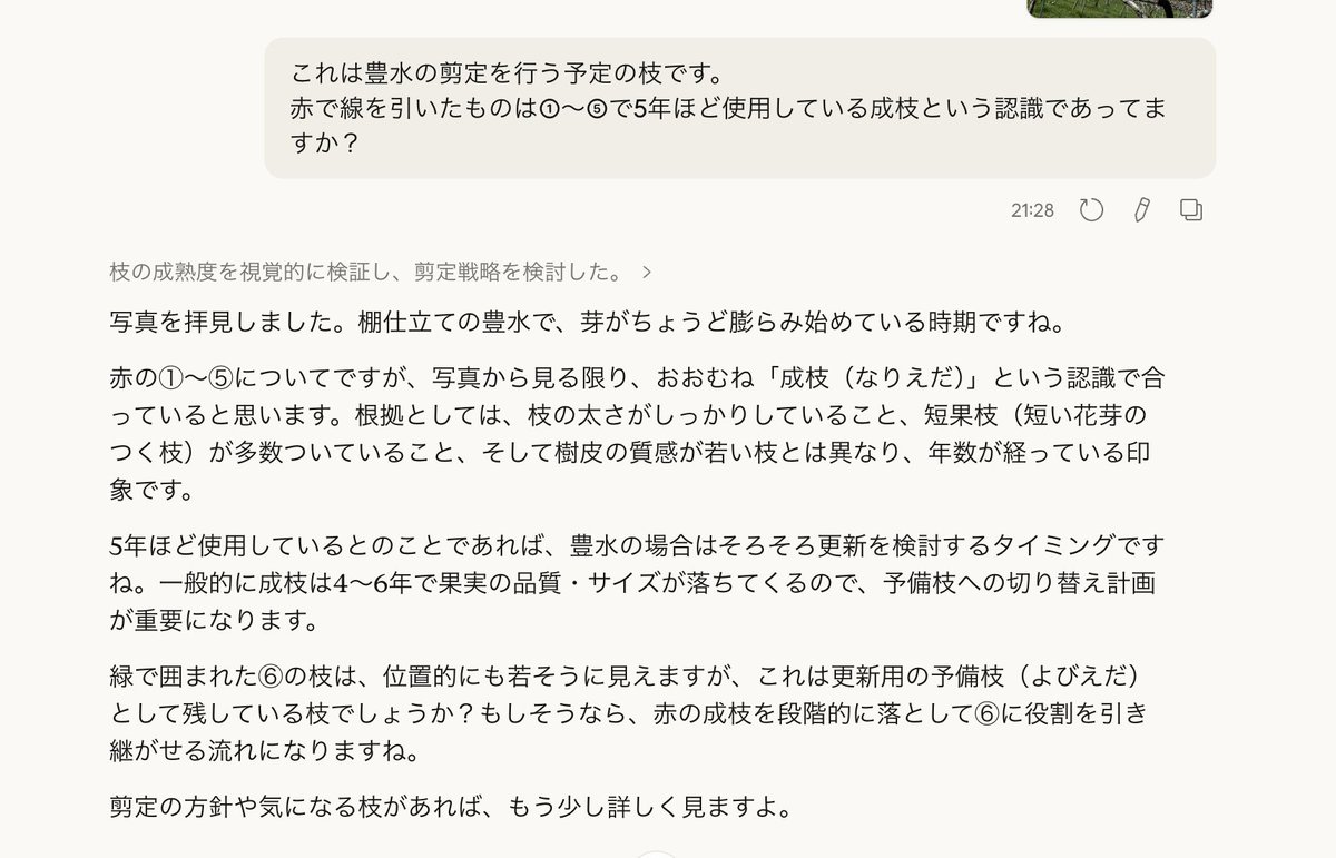 ごとうかずうみ|梨🍐とマーケティング tweet media