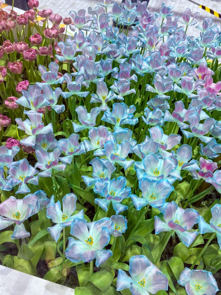 KP ตะลอนแหลก tweet media