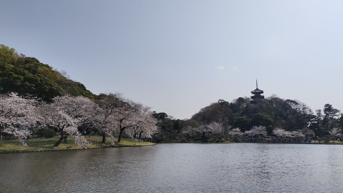 comicacualium's tweet photo. 花見した https://t.co/BtKOpmHDj6