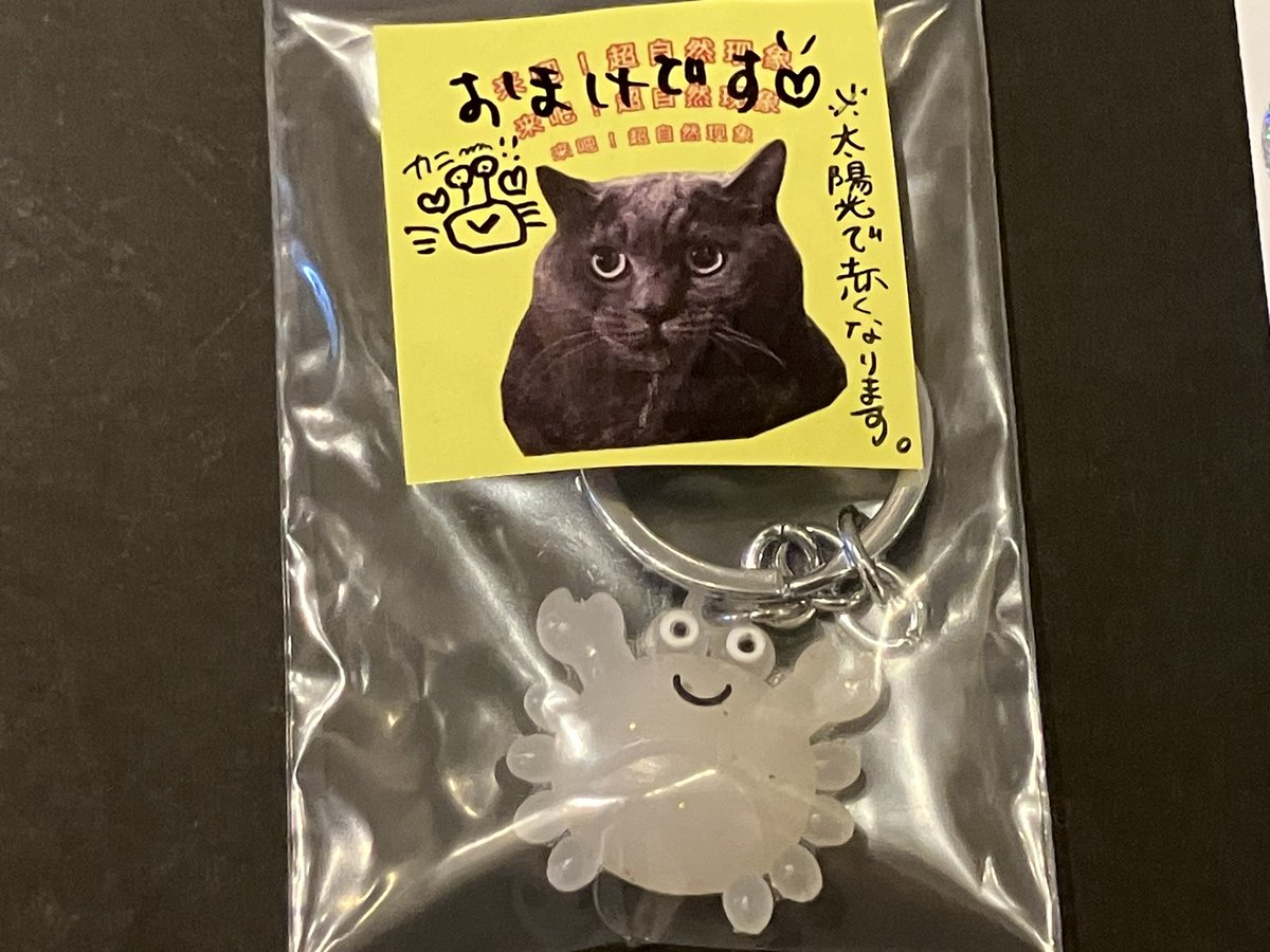 🦀菜門アタロウザ🦑 tweet media