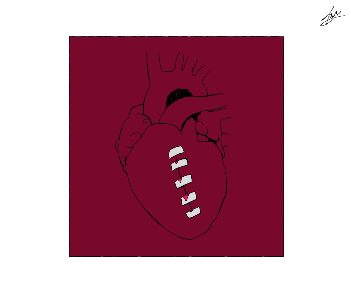 ⭐️ NOVA 노바 ⭐️ tweet media