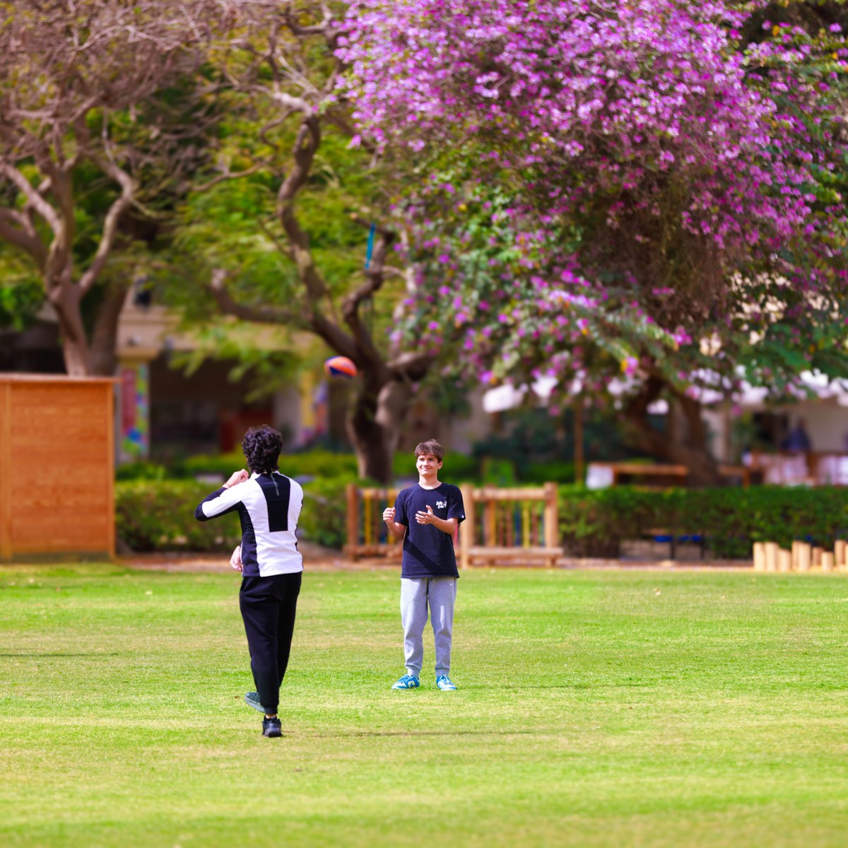 Cairo American College tweet media