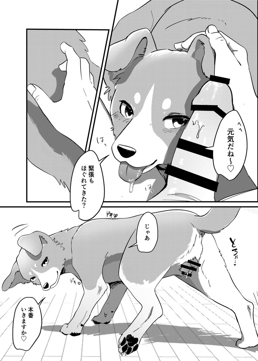 MOMO🥠🔞関西けもケF49 tweet media
