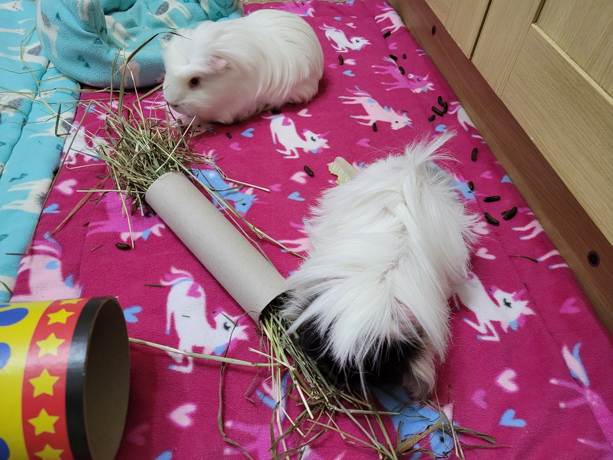 Barry Howells tweet media