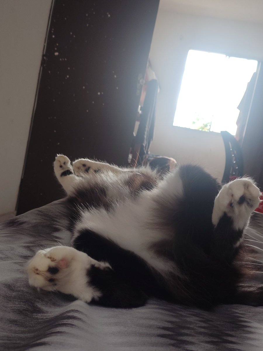 ثورة tweet media