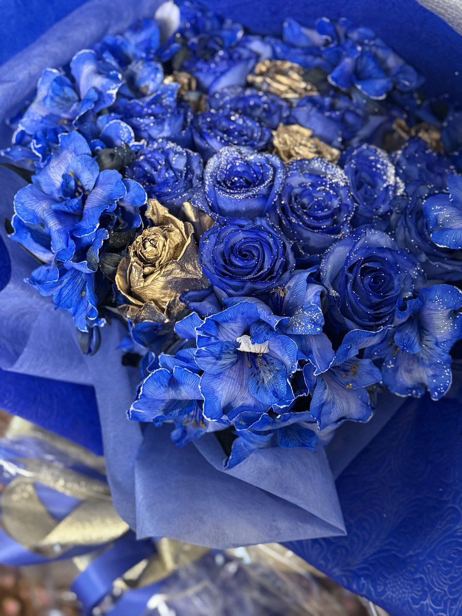 🌎山口れいな🦋 tweet media