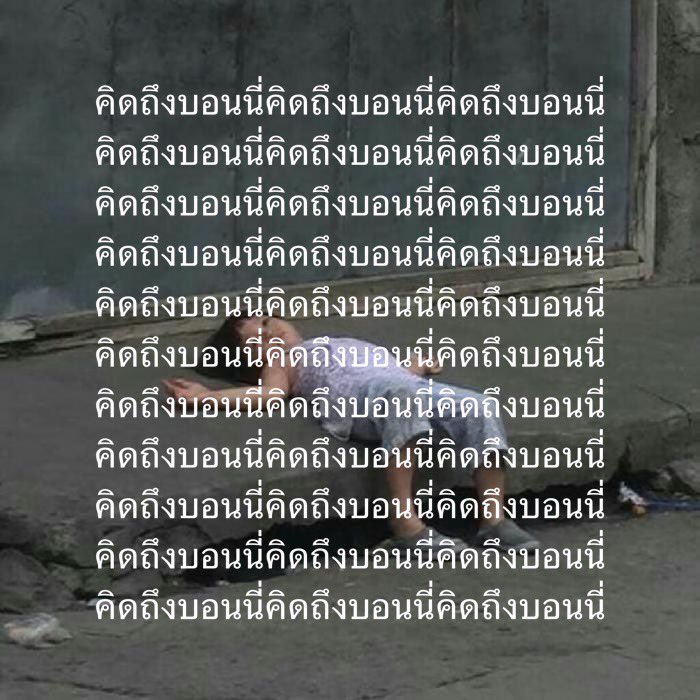 TAMUTAMi. tweet media