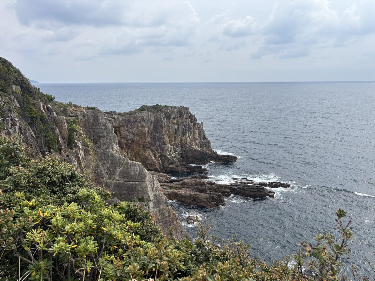 やきめし@ういく tweet media