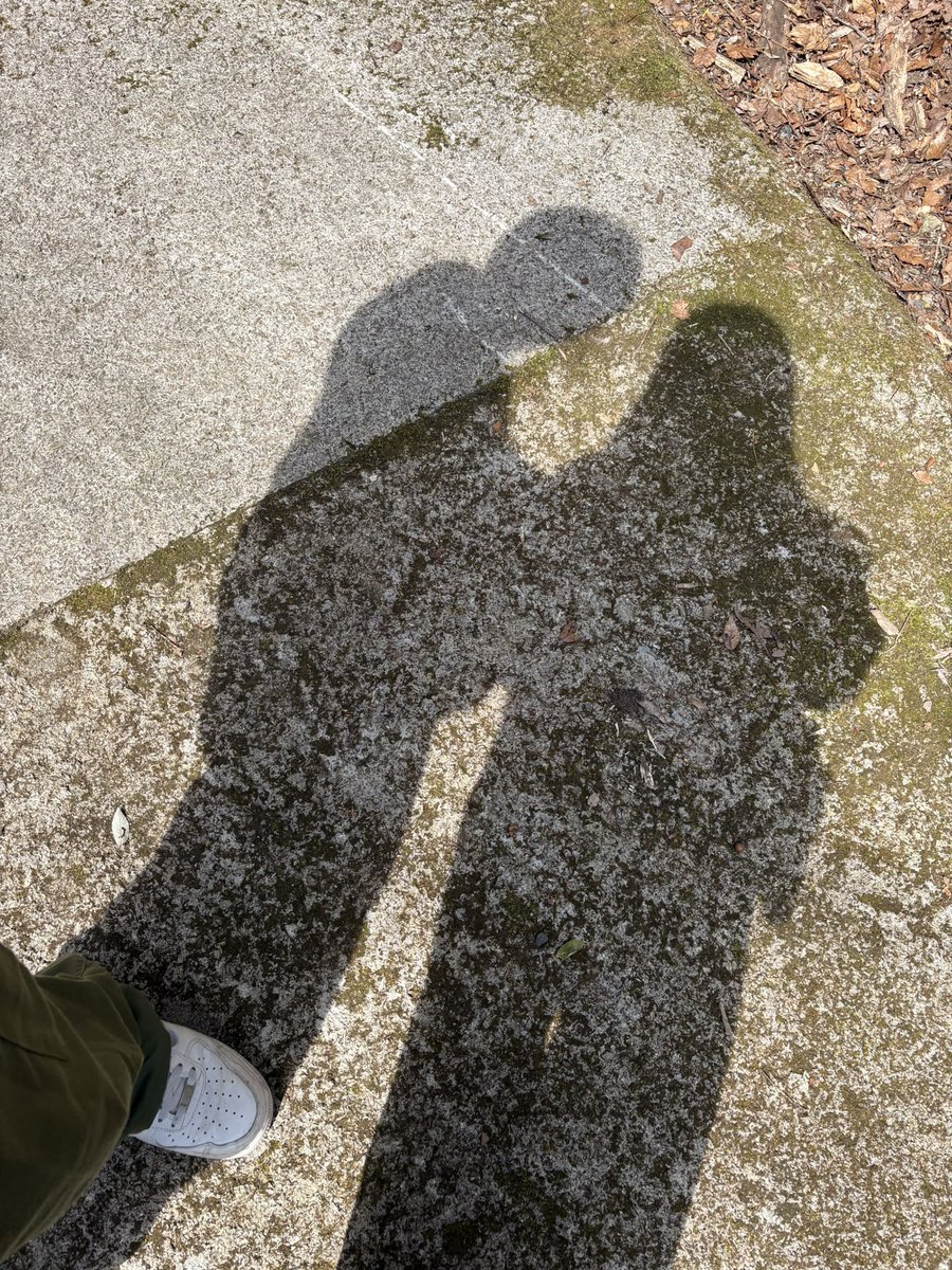 マッチュルーム🍄🎰 tweet media