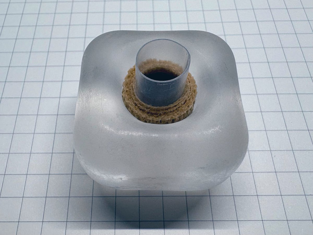 오소영 tweet media