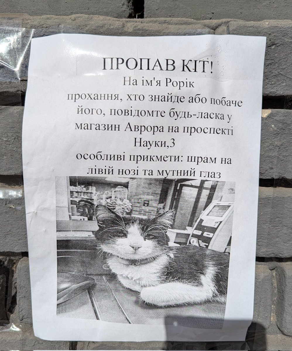 Tachikoma🇺🇦🌻 tweet media