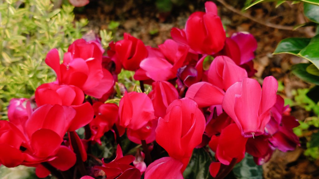 ひがしのたこ焼き tweet media