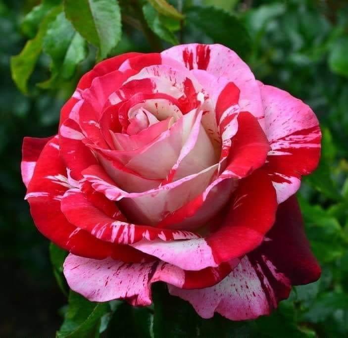 ا ب ت ج tweet media