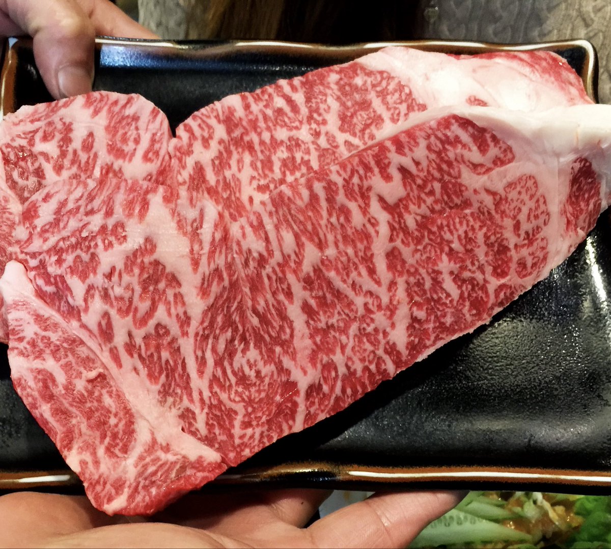 Bluebird tweet media