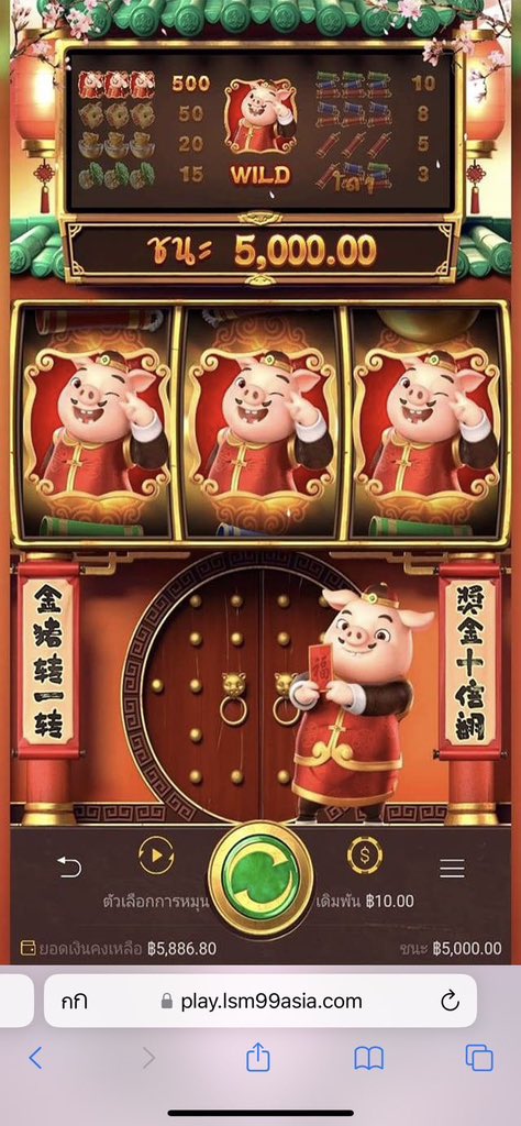 จิ๋มรักจู๋ tweet media