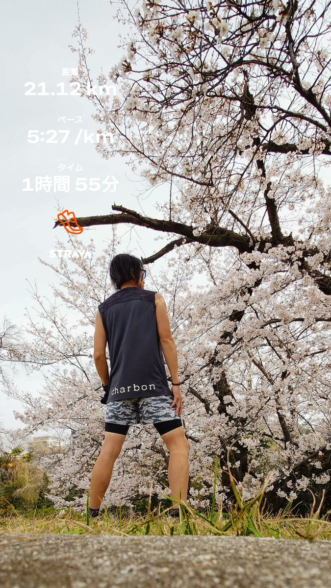 ys1tk's tweet photo. お花見ハーフラン🌸

エイドは和菓子とお抹茶を😋
となりでやってた借景展行きたいけど、毎年行列すごすぎて…
今年も素通り←

#charbonrunning #pumarunning https://t.co/28YxzzizZE