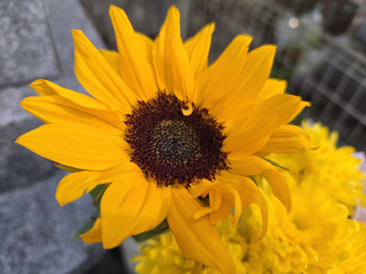 ヒロヤ tweet media