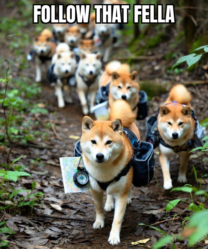 Dognut Fella 🏴󠁧󠁢󠁥󠁮󠁧󠁿🇺🇦🤘💀🤘#UkraineNATO tweet media