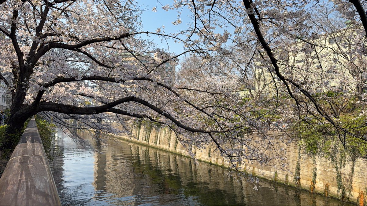 hiyohiyo tweet media