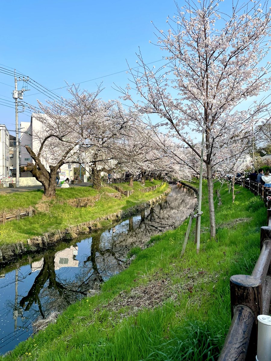 loopinthepool's tweet photo. ただいま東京 https://t.co/D3xcWibR9x