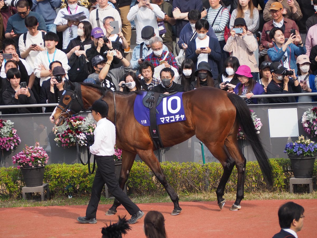 はるま ちくさ◎貯石 tweet media