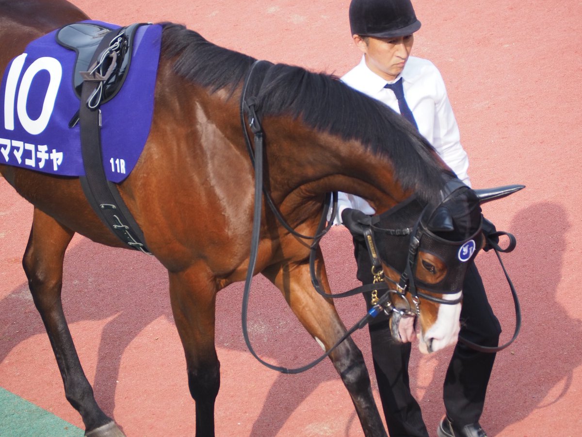 はるま ちくさ◎貯石 tweet media