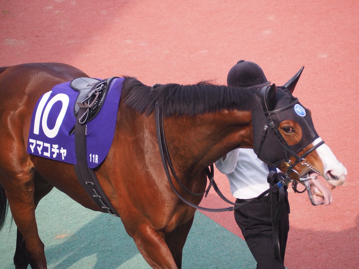 はるま ちくさ◎貯石 tweet media