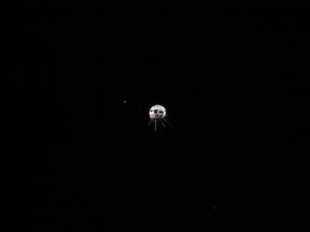 イカマリネ tweet media