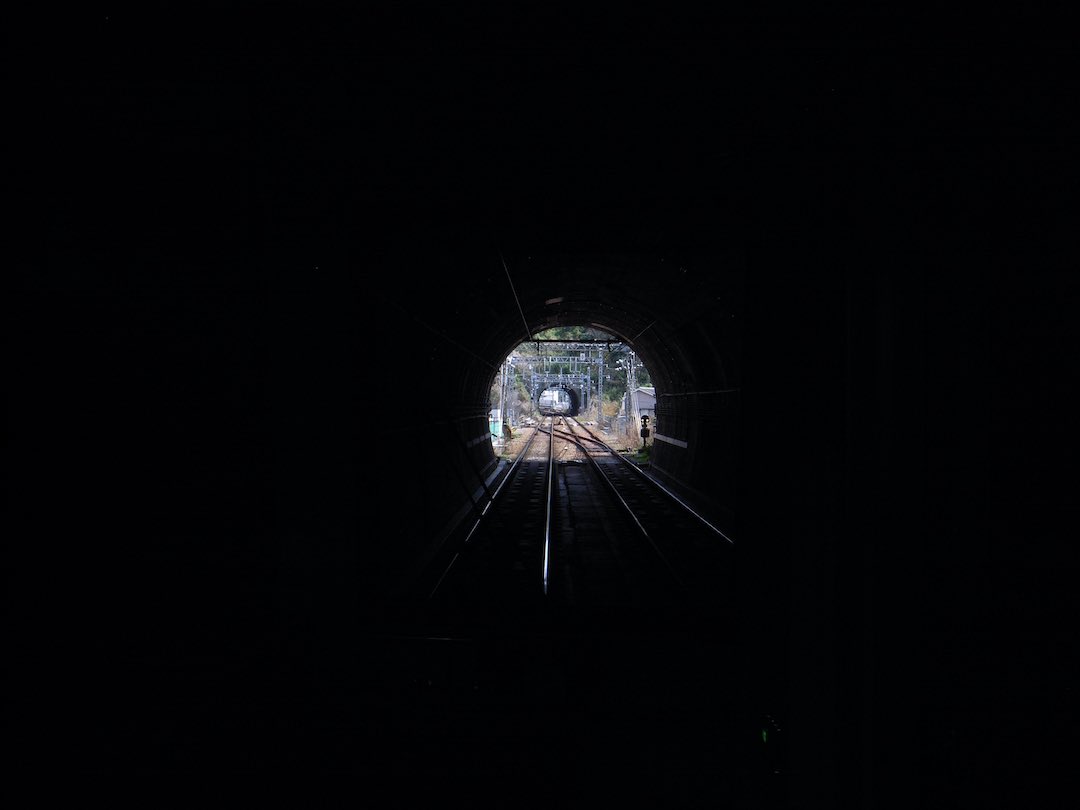 イカマリネ tweet media