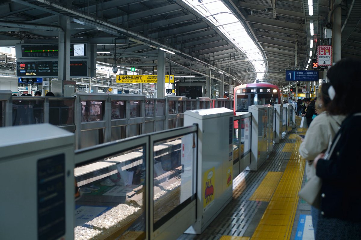 イカマリネ tweet media