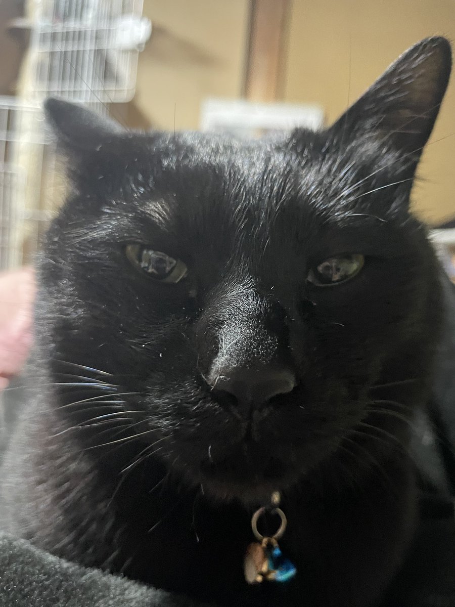 俺マン@今年も海行きたい tweet media