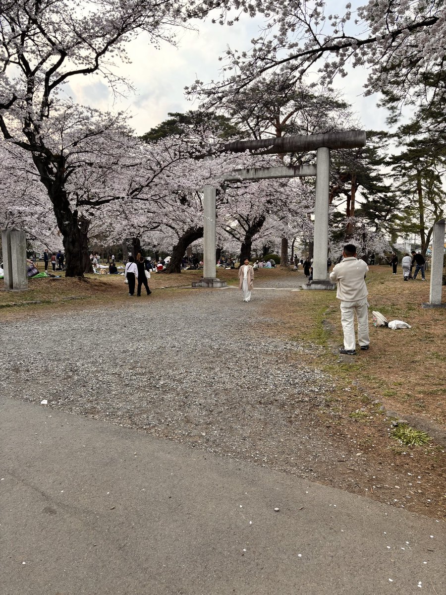 ekzel55's tweet photo. 大宮公園で花見
iPhoneとデジカメ https://t.co/Obp2WlVAUS