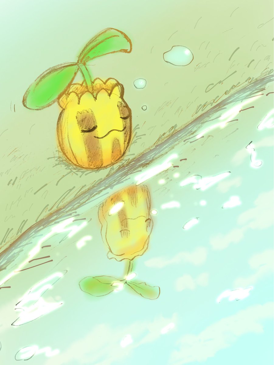 ぼちぼちヒマナッツ tweet media