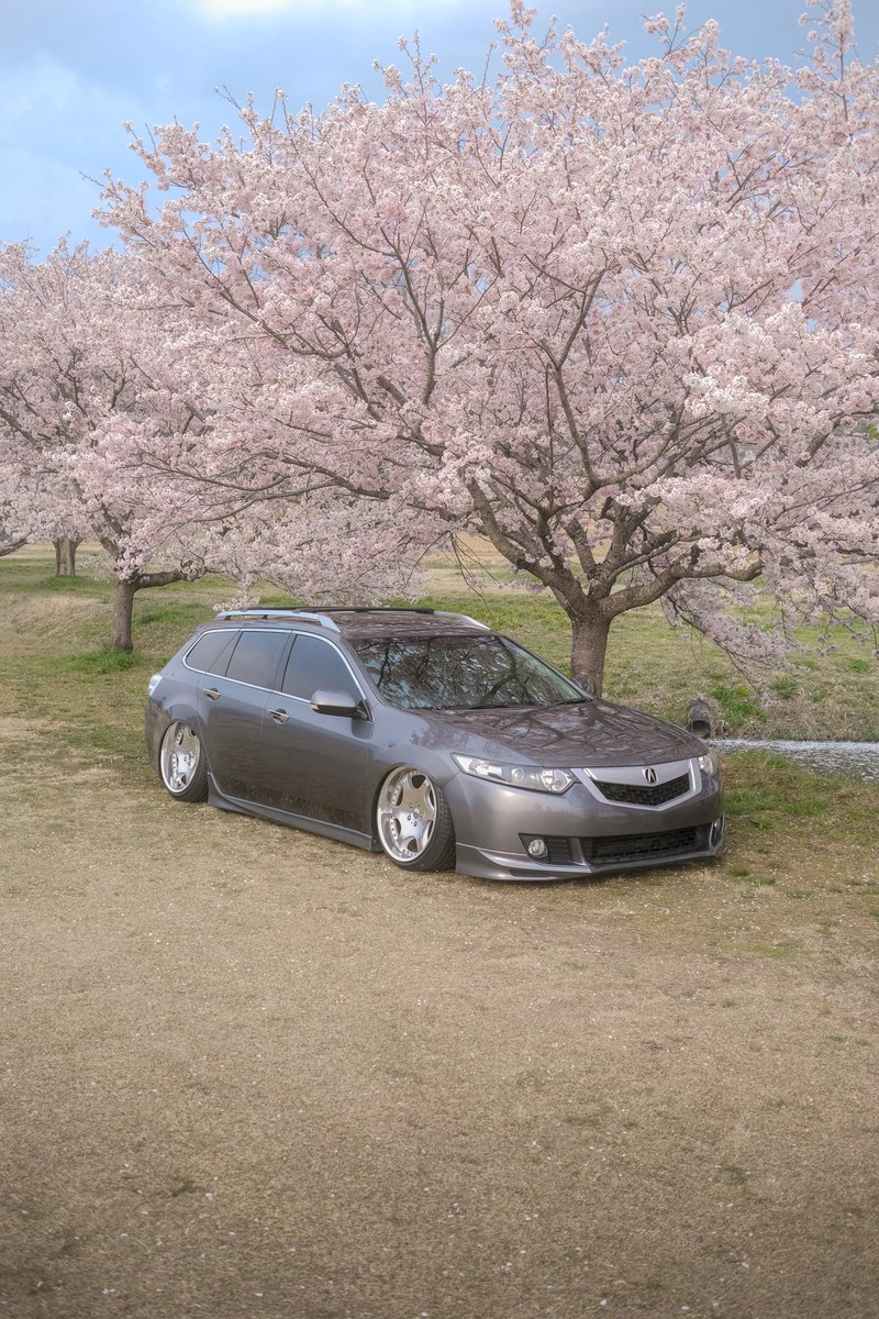 Hatake3894's tweet photo. 🌸 https://t.co/3JVE770hjb